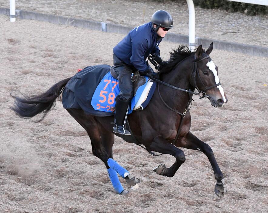 　２年ぶりの重賞Ｖを狙うラーグルフ（撮影・園田高夫）