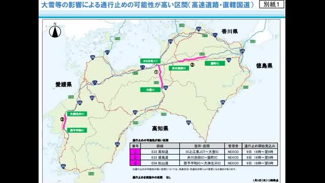 発表資料より