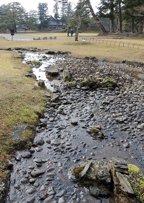 毛越寺で今後修繕作業が本格化する遣水の中央部分。曲水の宴の舞台となっているため今年は開催を取りやめる