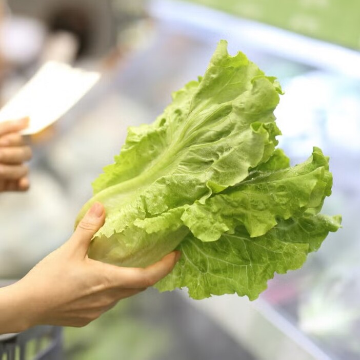 正しく保存すればレタスは30日間も日持ちする