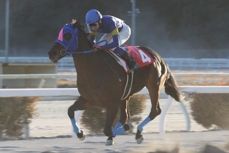 初夢特別・メイショウウズマサと岡遼太郎騎手 (C)高知県競馬組合