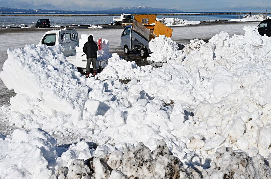 青森市内の除排雪作業で出た雪が次々と積み上げられる雪捨て場＝10日正午過ぎ、青森港の堤埠頭