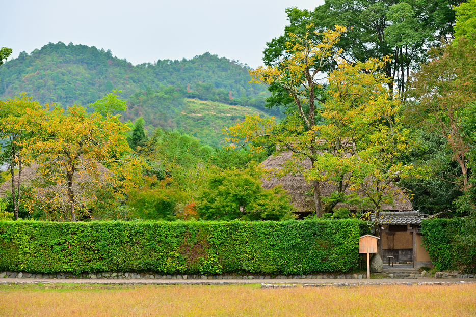 〔PHOTO〕iStock