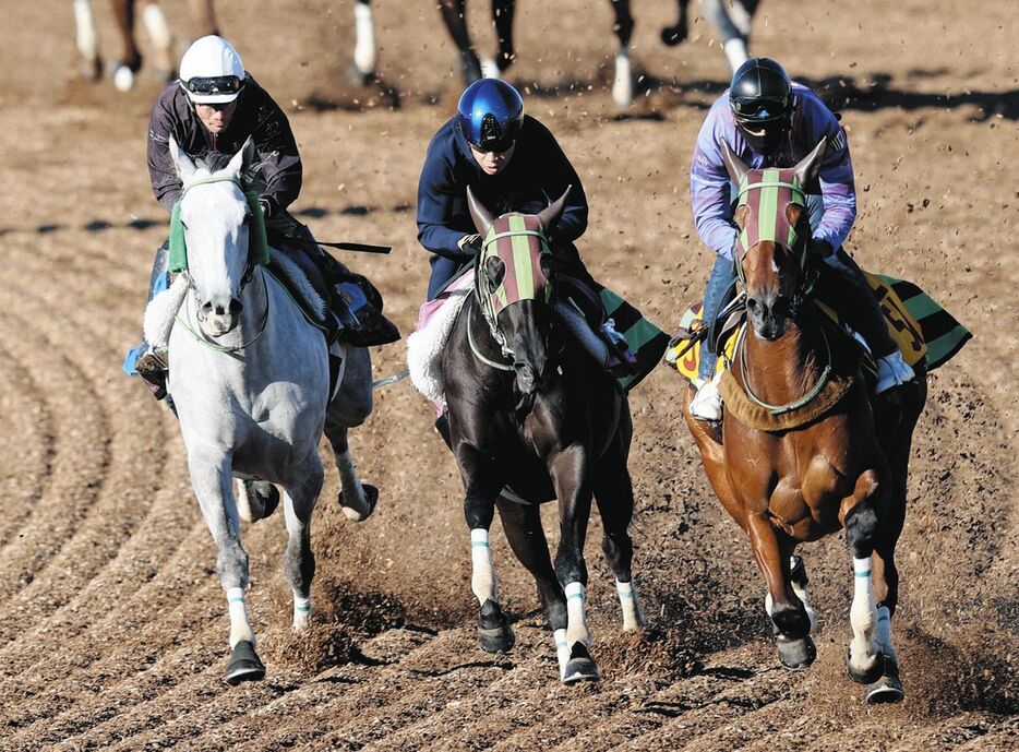 田辺騎手を背にウッドチップコースでラッジオ（右）、ナイトインロンドン（左）と併せて追われるホウオウガイア（中央）