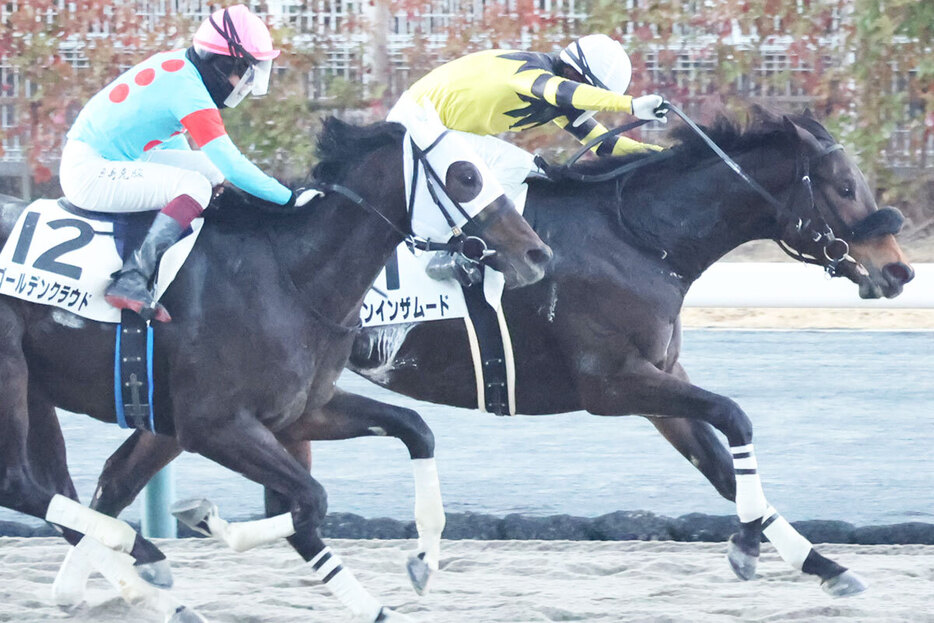 中京４Ｒを快勝したドンインザムード（６日、中京競馬場）