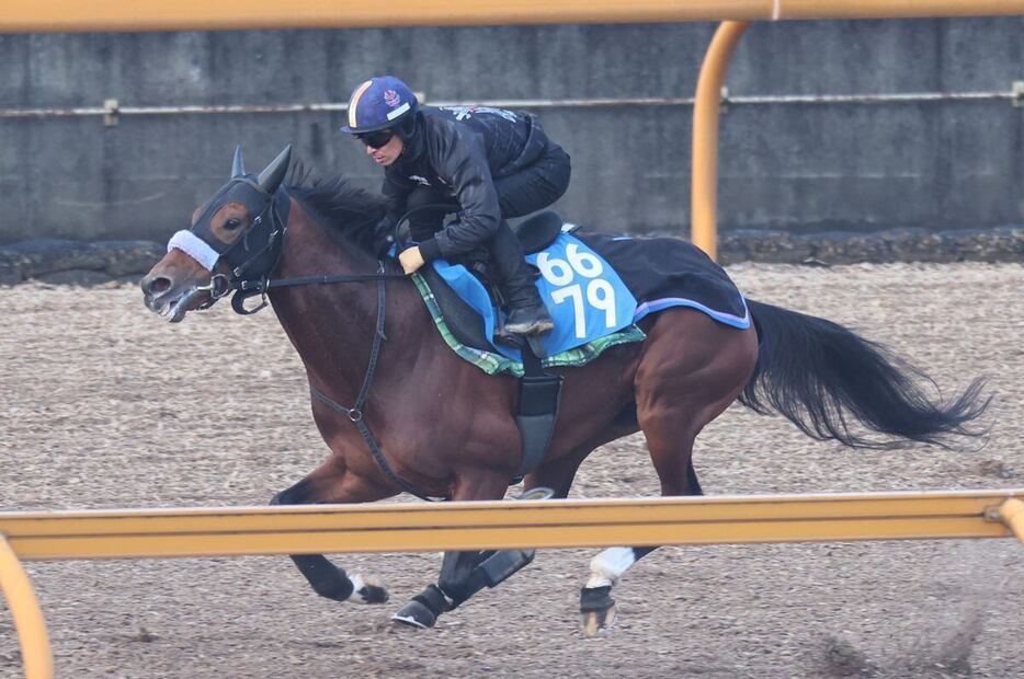 馬なりでラスト11秒3マークしたヴェローチェエラ＝栗東トレセン（撮影・安部光翁）