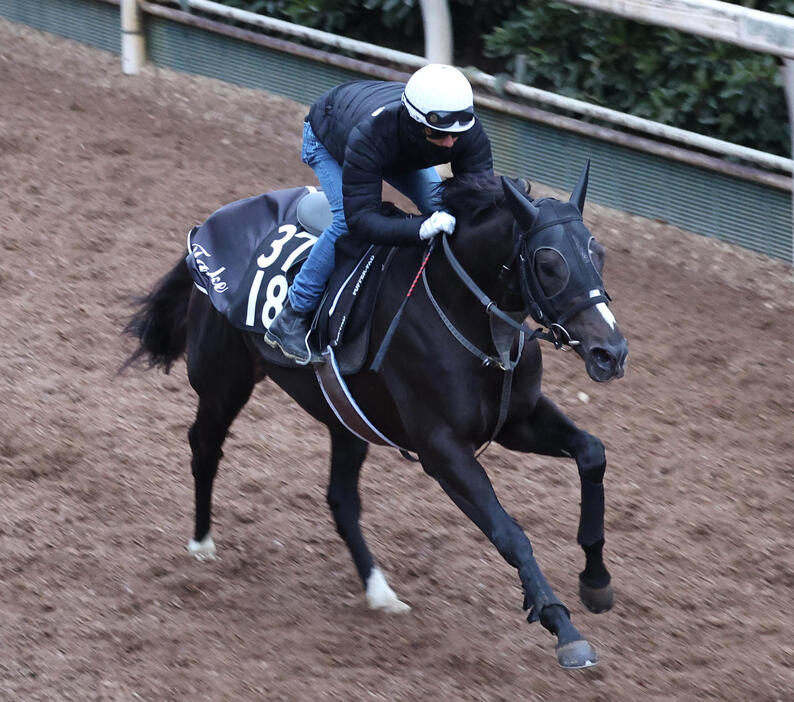 浜中騎手を背に坂路を単走で追い切るリラエンブレム（撮影・白石智彦）