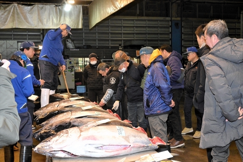 マグロを競り落とす仲買人ら