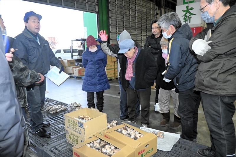 野菜やキノコなどが並んだ郡山大新青果の初競り