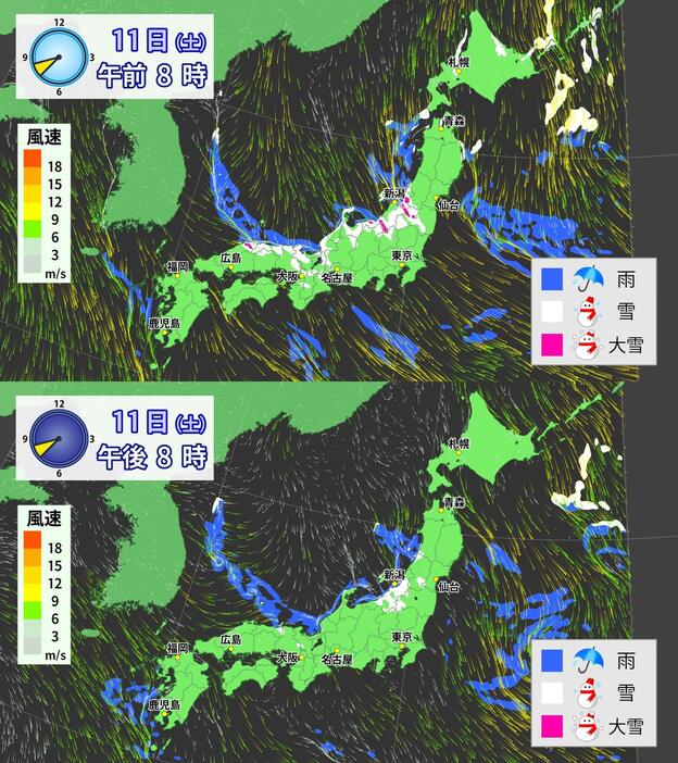 雨・雪・風の予想(11日(土)午前8時・午後8時)