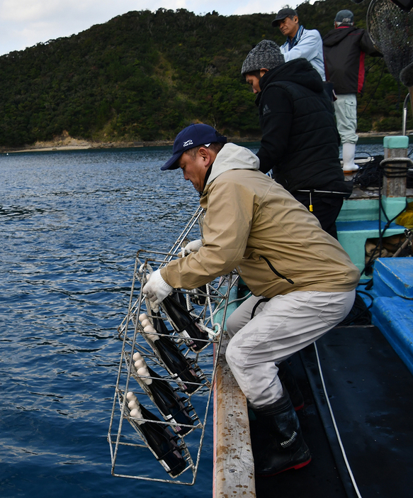 ワインが並べられた棚を海中に下す漁師ら（9日、瀬戸内町）