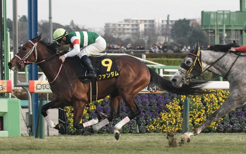 ＜ジュニアカップ＞レースを制したファンダム（撮影・郡司　修）