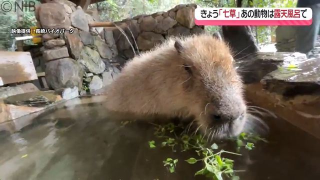 NIB長崎国際テレビ