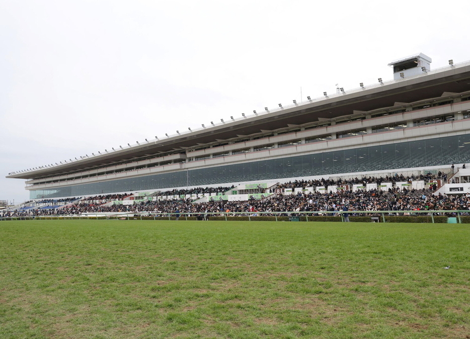 　中山競馬場