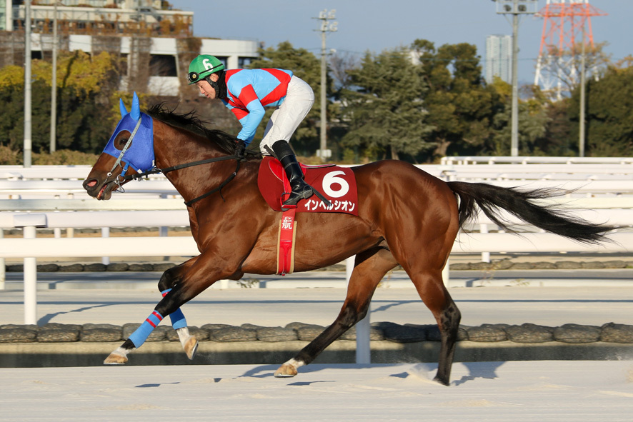 新春賞・インベルシオンと廣瀬航騎手 (C)兵庫県競馬組合