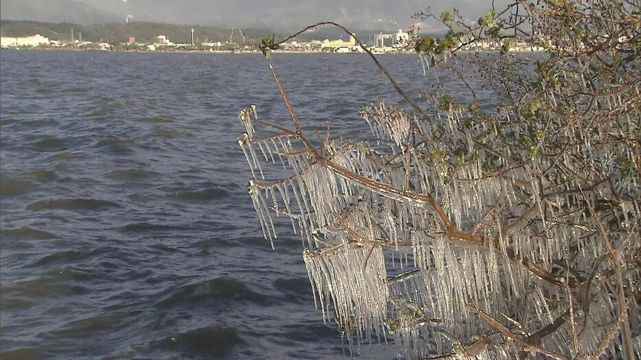 滋賀・守山市の琵琶湖畔