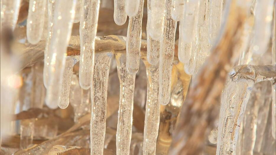 シャンパンゴールドに輝く「しぶき氷」