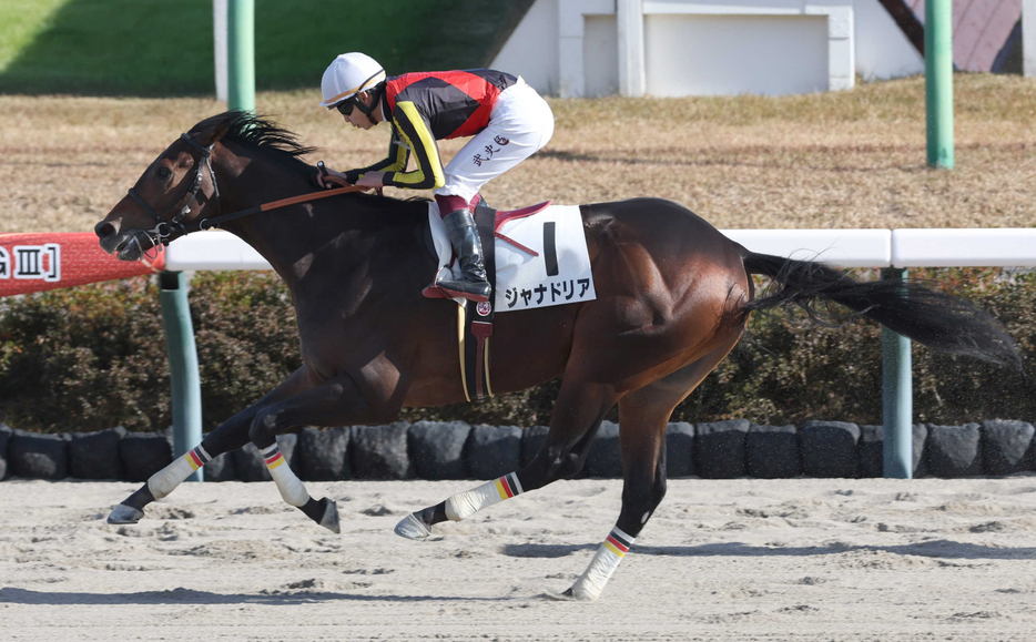 　２勝目を挙げたジャナドリア