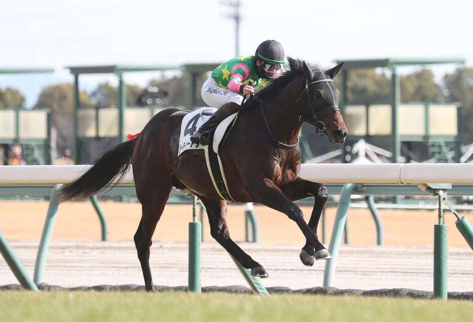 新馬戦を制したジーティーアダマン＝中京競馬場（撮影・安部光翁）