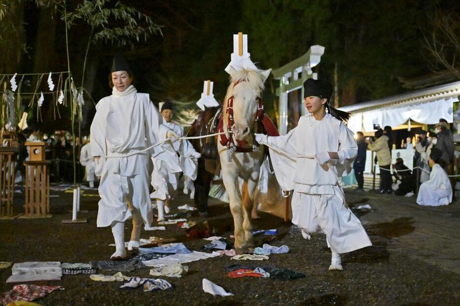 白馬祭で鹿島神宮の境内を駆け抜ける神馬=7日夜、鹿嶋市宮中