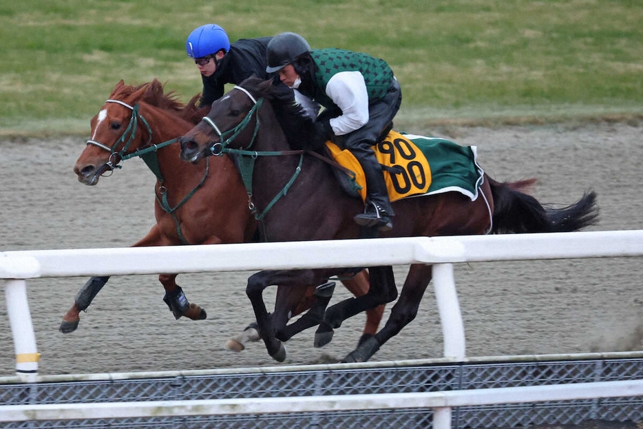 DPコース併せ馬で時計を出したジャルディニエ（左）（右はハイランドリンクス）