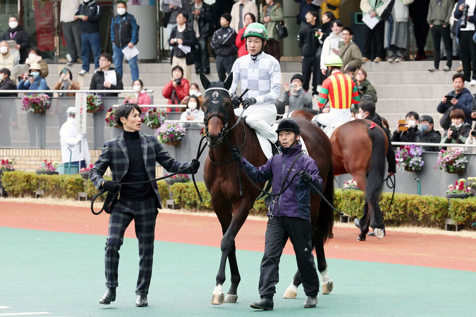 パドックでエンダードラゴンに騎乗する武豊騎手（カメラ・高橋　由二）