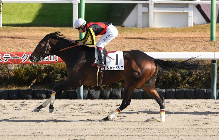 デビュー2連勝中のジャナドリア