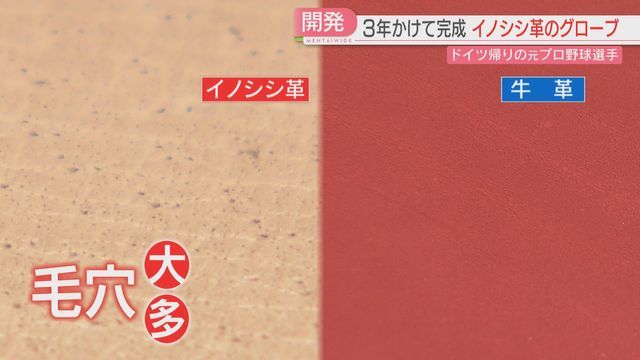 牛革と比べると