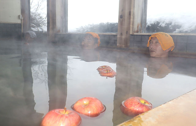 健康祈願のリンゴが浮かぶ湯船に漬かる利用客＝朝日町・りんご温泉