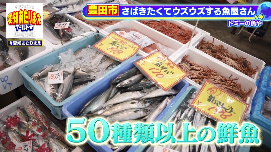 魚市場さながらの「トミーの魚や」