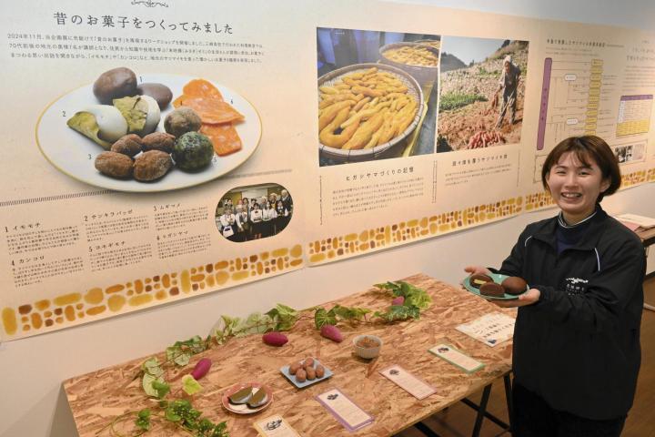 芋餅やかんころなど昔のお菓子を再現したサンプルが並ぶ企画展