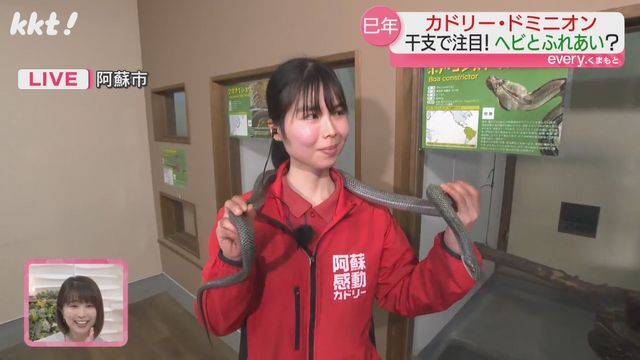 飼育員・名村風花さん