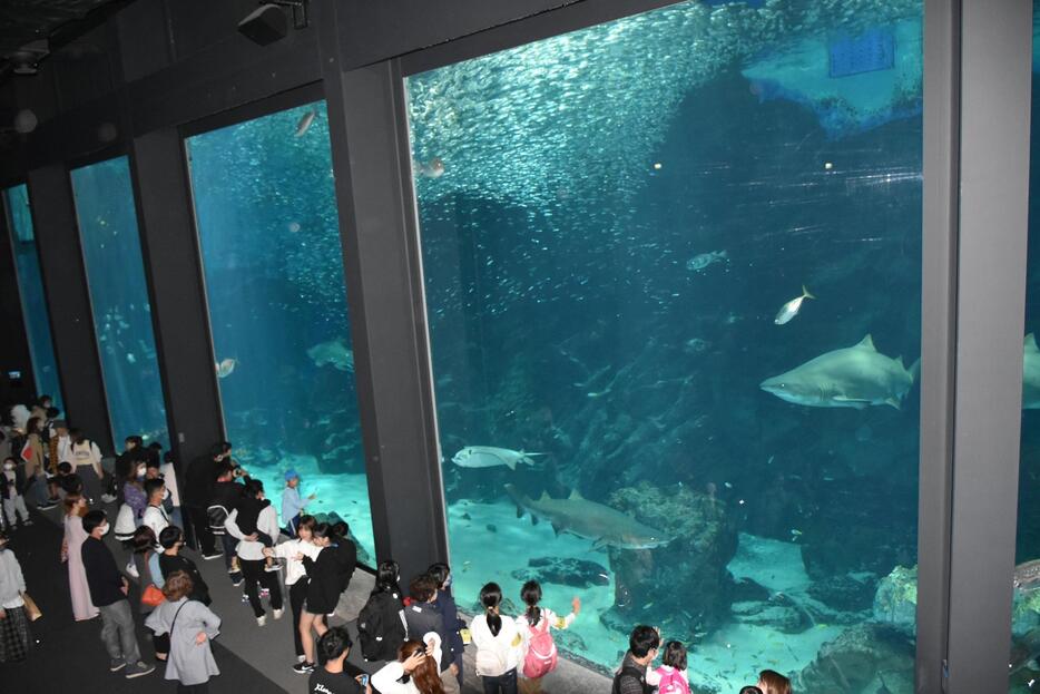 福岡市にある水族館・海の中道マリンワールドの大水槽