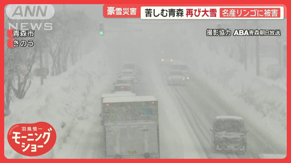 “今季最強寒波”襲来　豪雪災害に苦しむ青森で再び大雪　名産リンゴに被害も