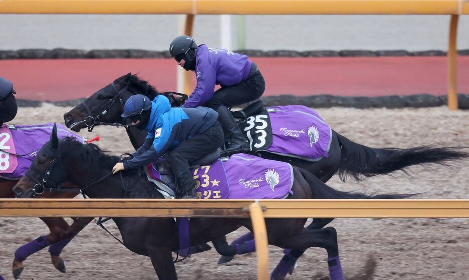 3頭併せでポタジェ（手前）とは併入したパーティハーン（奥）＝栗東トレセン（撮影・安部光翁）