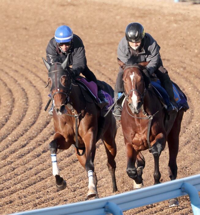 ティラトーレ（左）は3頭併せで先着した＝美浦トレセン（撮影・塩浦孝明）