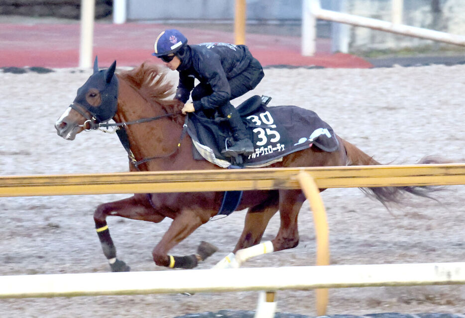 川田将雅騎手が騎乗したアルテヴェローチェ（カメラ・高橋　由二）