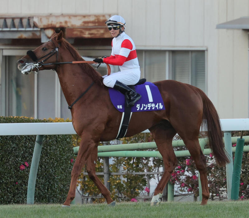 有馬記念で3着に終わったダノンデサイル（2024年12月22日撮影）