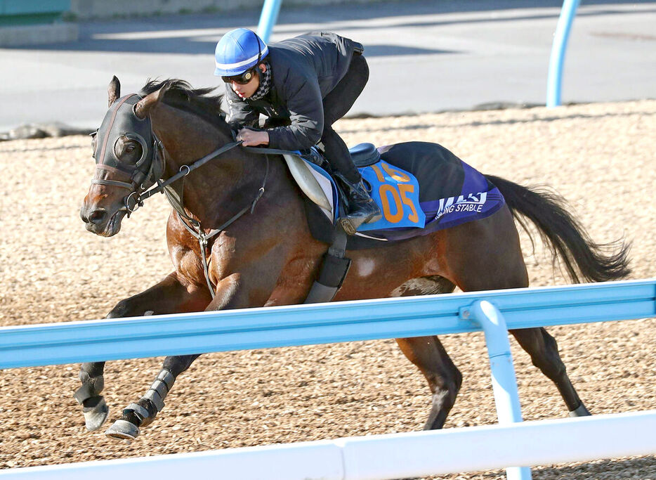 Ｗコースで追い切ったボーンディスウェイ（カメラ・荒牧　徹）