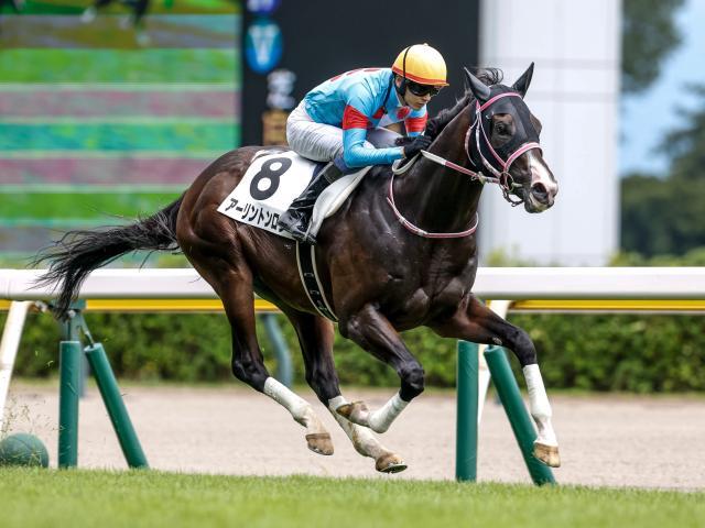 シンザン記念に出走予定のアーリントンロウ(撮影：下野雄規)