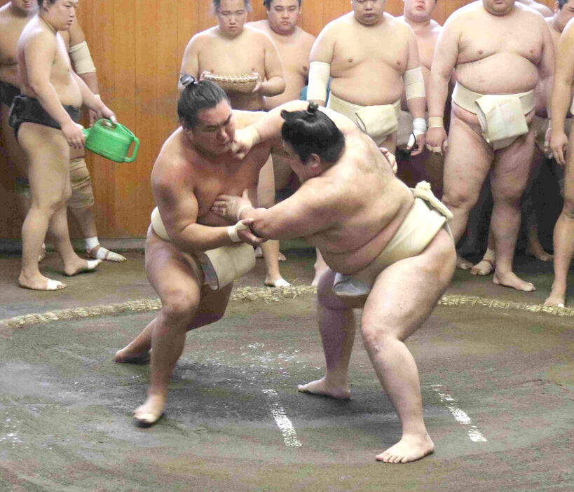 豊昇龍は出羽海一門連合稽古で汗を流した（カメラ・山田　豊）