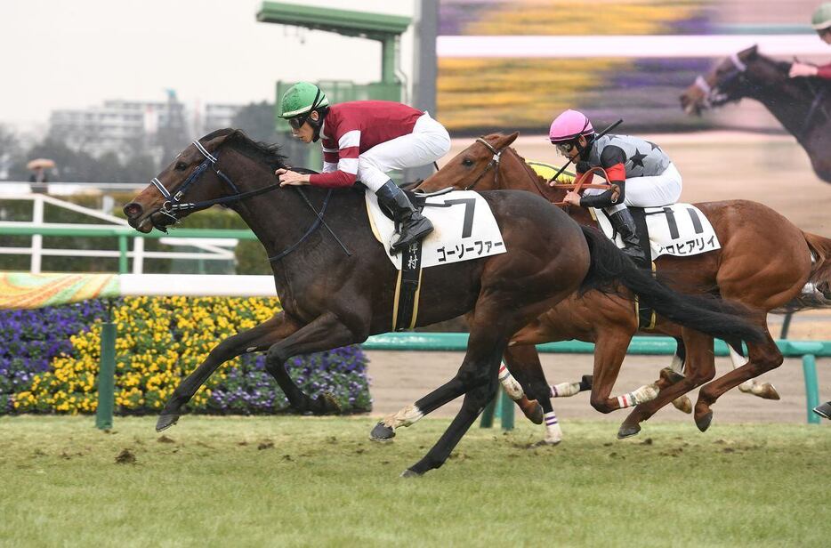 中山7Rの3歳1勝クラスを快勝したゴーソーファー（撮影・菅原和彦）