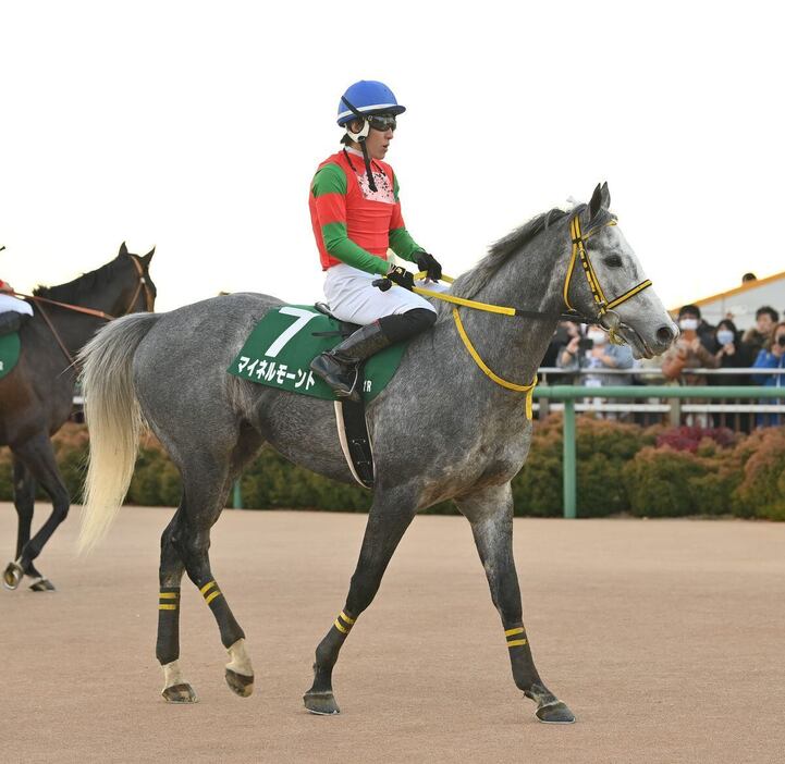 中山巧者ぶりを発揮して2着に入ったマイネルモーント＝中山競馬場（撮影・奈良武）