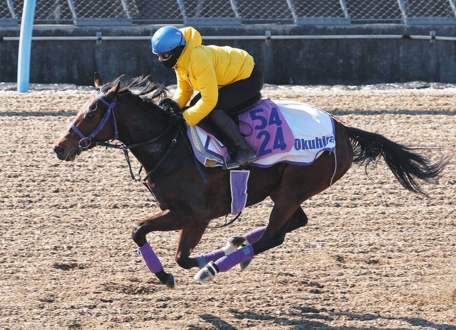 菅原明騎手を背にウッドチップコースで追われるニシノラヴァンダ