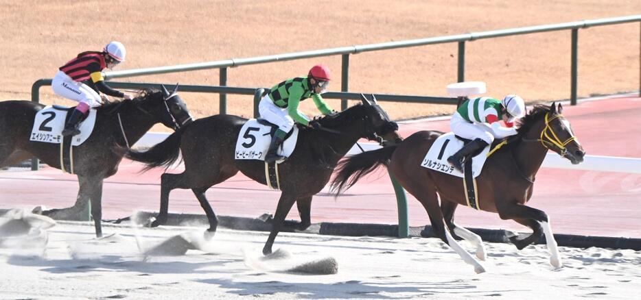 　新馬戦を快勝したソルナシエンテ（右）