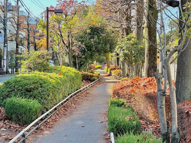 車道と緑道が並走している風景はなかなかレア