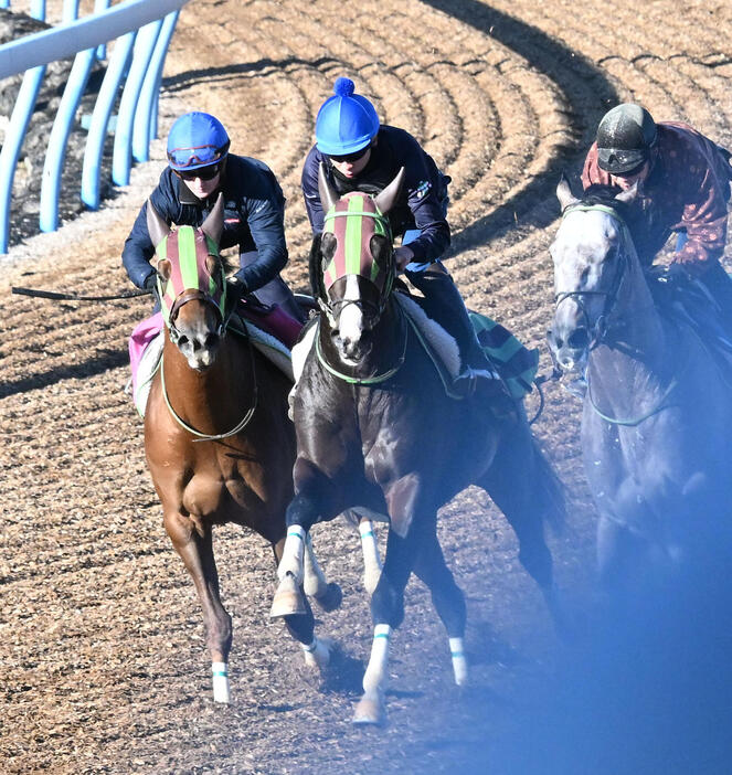 美浦ウッドで3頭併せて追い切るジョリーレーヌとドイル騎手（左）（撮影・千葉一成）