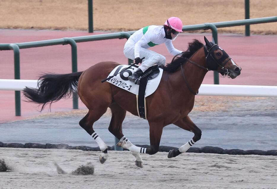 新馬戦を快勝したフィリップバローズ