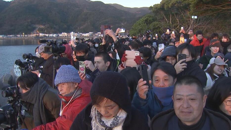 初日の出を見に訪れた人（佐伯市）