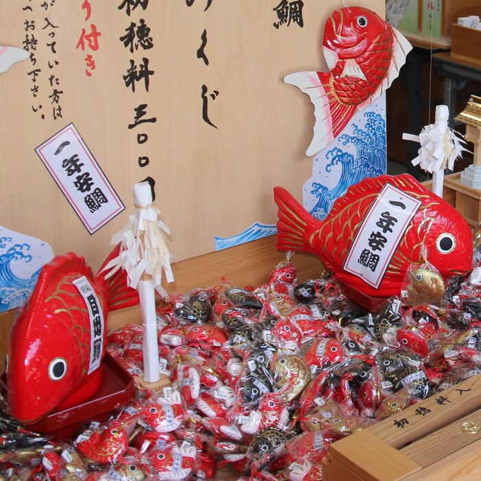 武水別神社の「鯛みくじ」。張り子のタイにおみくじが差し込んである